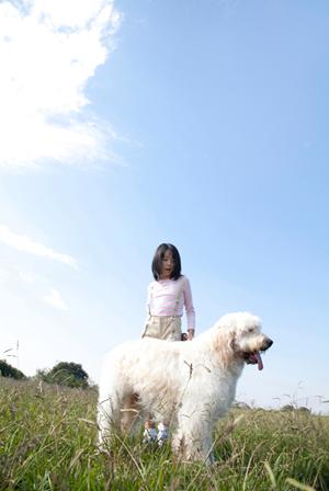 ミヌエットを購入できるブリーダー