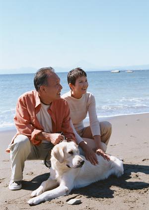 優良食材を使った無添加ドッグフード