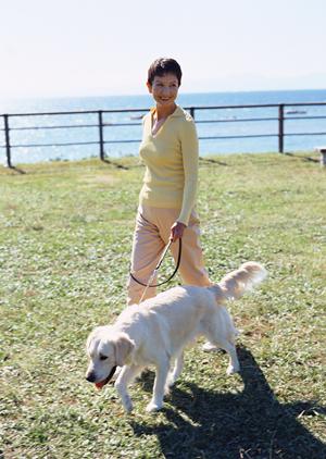 ホワイトドッグは通販で入手しよう