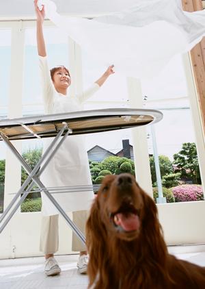 安心して利用出来る犬の幼稚園です