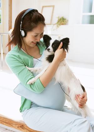 自家繁殖の可愛いらしい子犬の販売