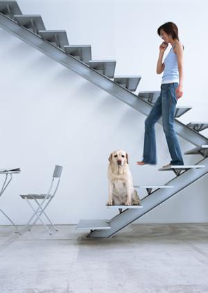 信頼と実績のシロアリ駆除サービス｜アサンテの安心対応と無料診断