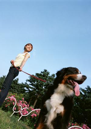 家族同然とも言えるペットのお墓